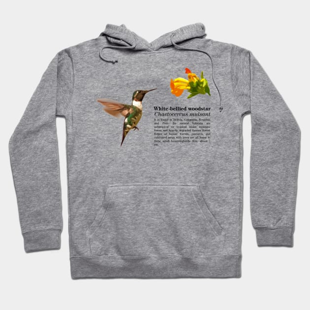 White-bellied woodstar hummingbird black text Hoodie by Ornamentum